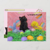 Postcrossing - Is Da Easter Bunny er al? Easter Feestdagenkaart (Voorkant / Achterkant)