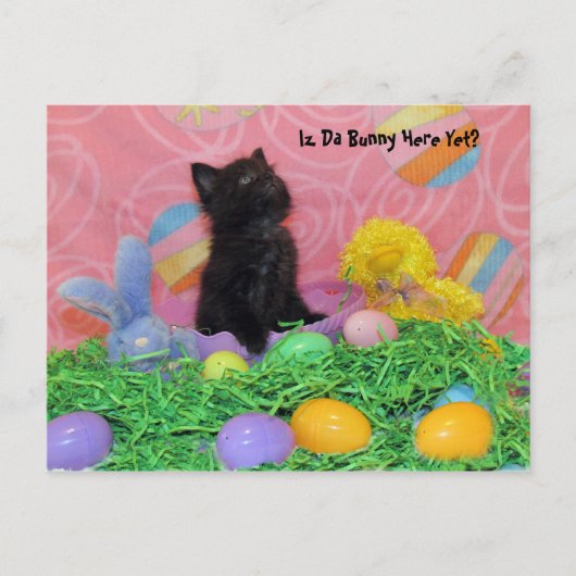 Postcrossing - Is Da Easter Bunny er al? Easter Feestdagenkaart (Voorkant)