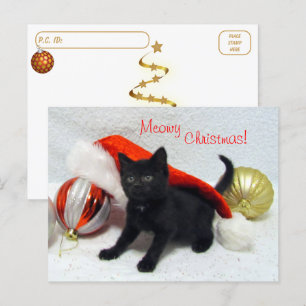 Postcrossing - Joon's Christmas - Kat / Kitten Briefkaart
