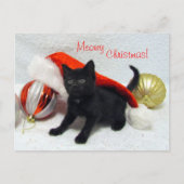 Postcrossing - Joon's Christmas - Kat / Kitten Briefkaart (Voorkant)
