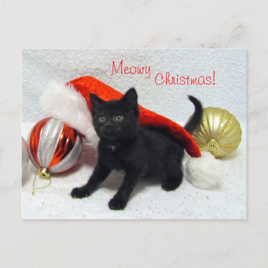 Postcrossing - Joon's Christmas - Kat / Kitten Briefkaart (Voorkant)