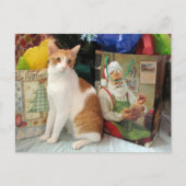 Postcrossing - Kagan de Kat - Kerstmis Feestdagenkaart (Voorkant)