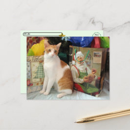 Postcrossing - Kagan de Kat - Kerstmis  Feestdagenkaart