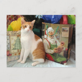 Postcrossing - Kagan the Cat - Christmas  Feestdagenkaart