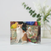 Postcrossing - Kagan the Cat - Christmas Feestdagenkaart (Staand voorkant)