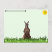Postcrossing: Kangoeroe met het Briefkaart van Joe (Achterkant)