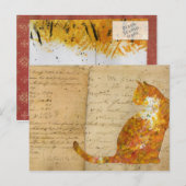 Postcrossing Kat
 Briefkaart (Voorkant / Achterkant)