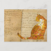 Postcrossing Kat
 Briefkaart (Voorkant)