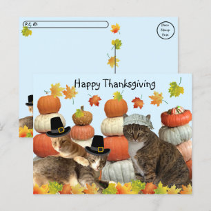 Postcrossing - Katten, pompoenen en herfstbladeren Briefkaart
