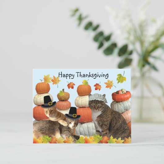 Postcrossing - Katten, pompoenen en herfstbladeren Briefkaart (Staand voorkant)