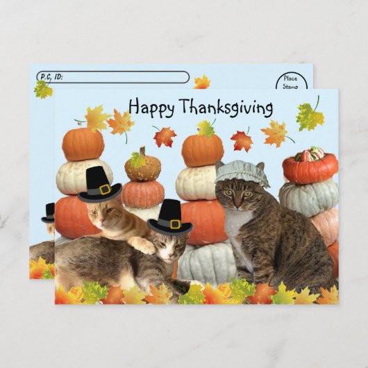 Postcrossing - Katten, pompoenen en herfstbladeren Briefkaart (Voorkant / Achterkant)