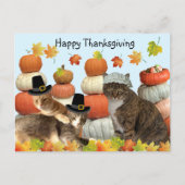 Postcrossing - Katten, pompoenen en herfstbladeren Briefkaart (Voorkant)