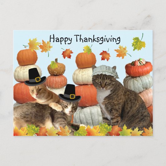 Postcrossing - Katten, pompoenen en herfstbladeren Briefkaart (Voorkant)