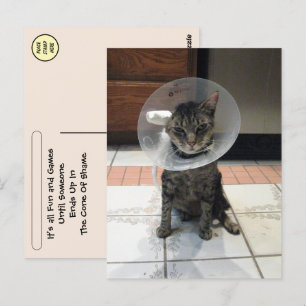 Postcrossing Kegel van de Schande - Kat Herstel An Briefkaart