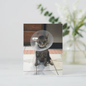 Postcrossing kegel van schaamte - Cat Get Well Bri Briefkaart (Staand voorkant)