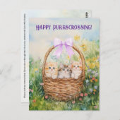 Postcrossing Kittens - Briefkaart (Voorkant / Achterkant)