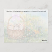 Postcrossing Kittens - Briefkaart (Achterkant)