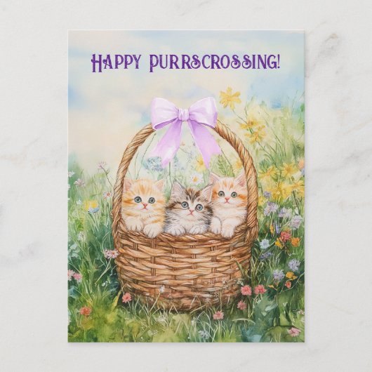 Postcrossing Kittens - Briefkaart (Voorkant)