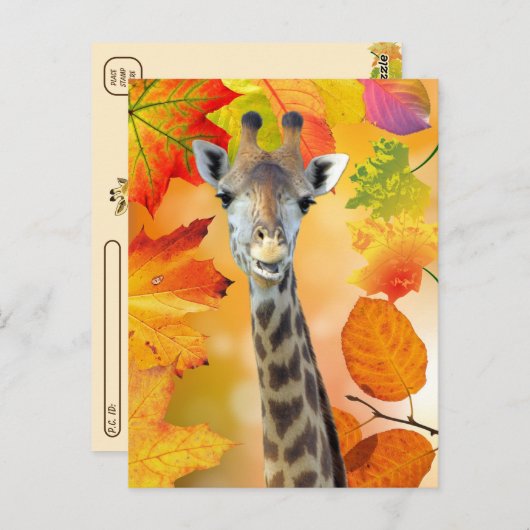 Postcrossing - kleurrijke herfst / Herfst Giraffe Briefkaart (Voorkant / Achterkant)