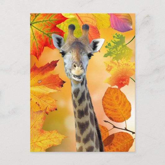 Postcrossing - kleurrijke herfst / Herfst Giraffe Briefkaart (Voorkant)