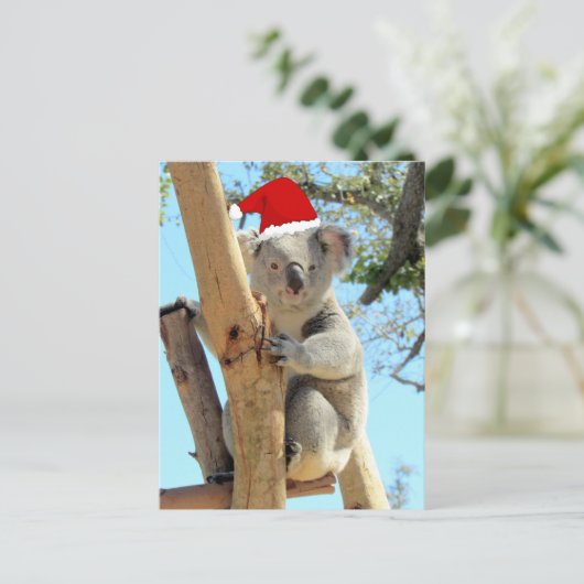 Postcrossing - Koala Kerstmis Briefkaart (Staand voorkant)