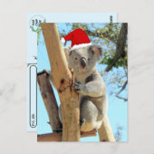 Postcrossing - Koala Kerstmis Briefkaart (Voorkant / Achterkant)