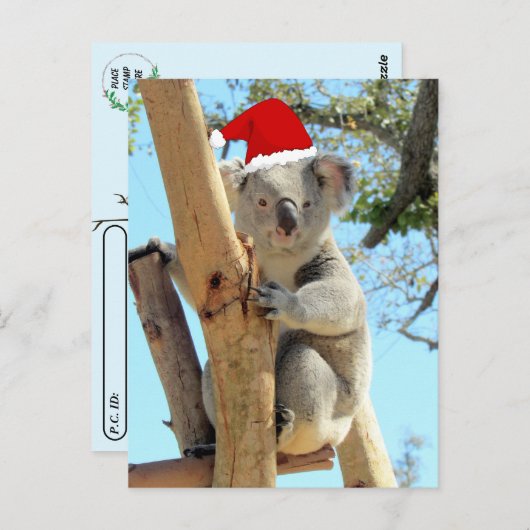 Postcrossing - Koala Kerstmis Briefkaart (Voorkant / Achterkant)