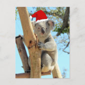 Postcrossing - Koala Kerstmis Briefkaart (Voorkant)