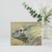 Postcrossing - Komodo Dragon Briefkaart (Staand voorkant)