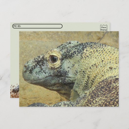 Postcrossing - Komodo Dragon Briefkaart (Voorkant / Achterkant)