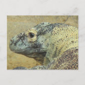 Postcrossing - Komodo Dragon Briefkaart (Voorkant)