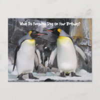 Postcrossing Koningspinguïns Grappige Verjaardagsa