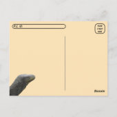 Postcrossing - Krokodillenmonitor hagedis Briefkaa Briefkaart (Achterkant)