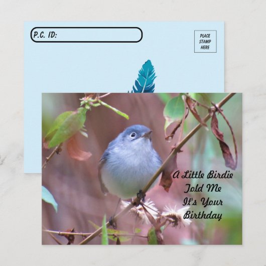 Postcrossing Lieveheersbeestje Verjaardagsansichtk Briefkaart (Voorkant / Achterkant)