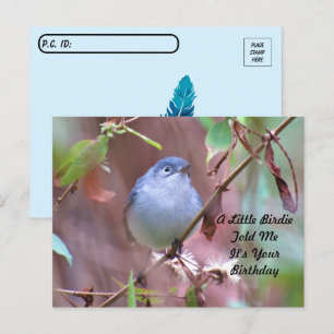 Postcrossing Little Birdie Verjaardagsansichtkaart Briefkaart