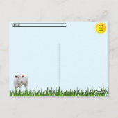 Postcrossing Lots of Cows & a Couple little Bulls Briefkaart (Achterkant)