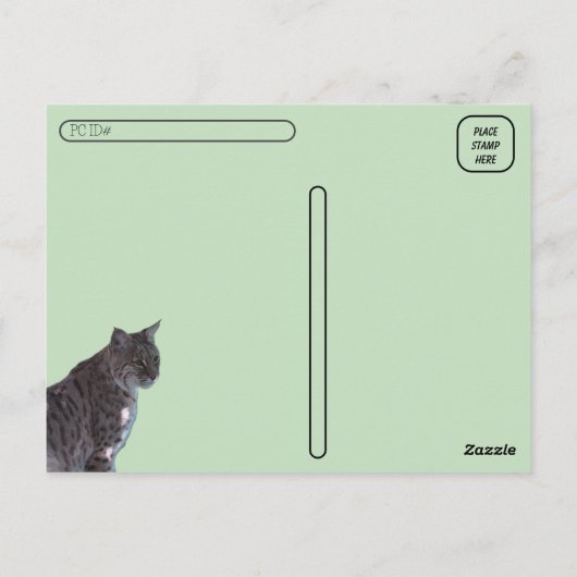 Postcrossing - Mooie Bobcat in een veld Briefkaart (Achterkant)