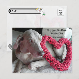 Postcrossing Nieuw Huis Gefeliciteerd Briefkaart