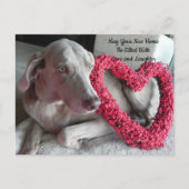 Postcrossing nieuwe thuis felicitaties ansichtkaar briefkaart (Voorkant)