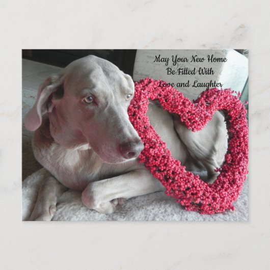 Postcrossing nieuwe thuis felicitaties ansichtkaar briefkaart (Voorkant)