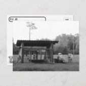 Postcrossing On the Ranch - Cows - Black and White Briefkaart (Voorkant / Achterkant)