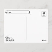 Postcrossing On the Ranch - Cows - Black and White Briefkaart (Achterkant)