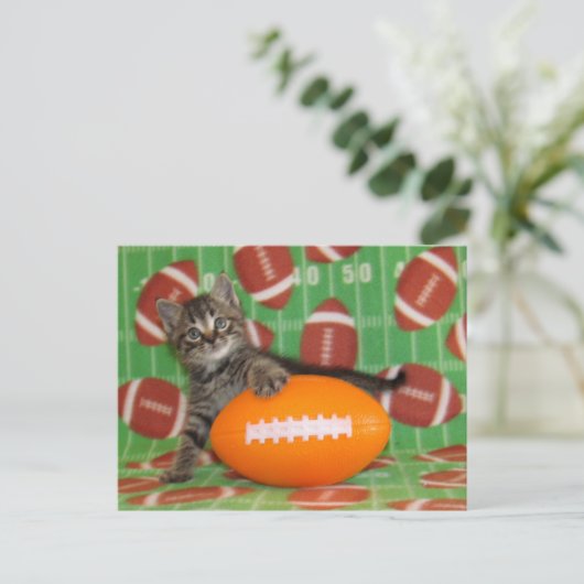 Postcrossing Patton Plays Football - Cat Briefkaar Briefkaart (Staand voorkant)