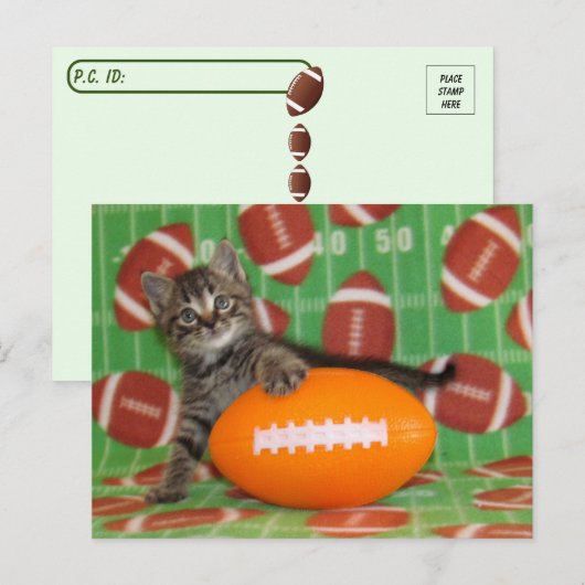 Postcrossing Patton Plays Football - Cat Briefkaar Briefkaart (Voorkant / Achterkant)