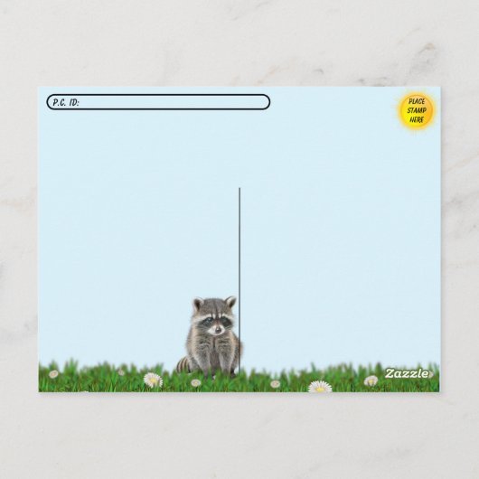 Postcrossing Pic of An Adorable Baby Raccoon Briefkaart (Achterkant)
