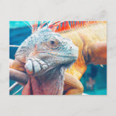 Postcrossing - Prachtig leguaan Briefkaart (Voorkant)