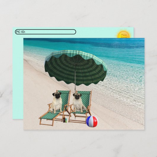 Postcrossing - Pugs bij het Beach Briefkaart (Voorkant / Achterkant)