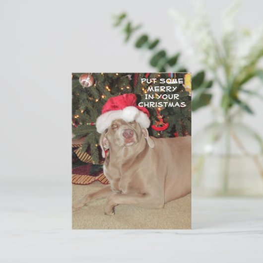 Postcrossing - Regen in de Weimaraner's Kerstmis Briefkaart (Staand voorkant)
