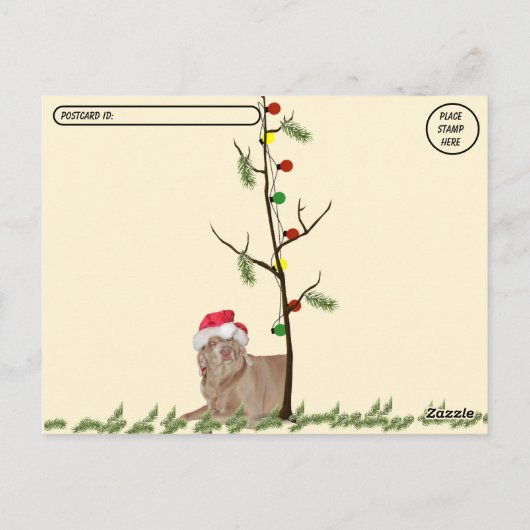 Postcrossing - Regen in de Weimaraner's Kerstmis Briefkaart (Achterkant)