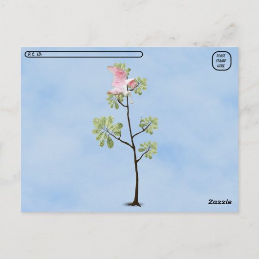 Postcrossing - Roseate Spoonbill Briefkaart (Achterkant)